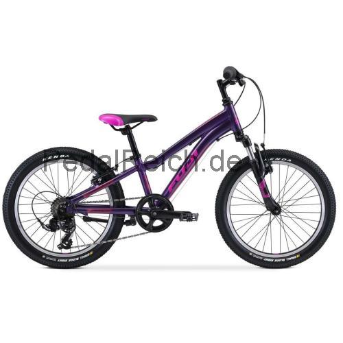 Fuji Dynamite  technische daten 